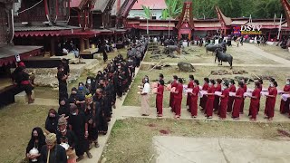 Upacara adat keren di Angin angin Toraja Utara [upl. by Lawlor]