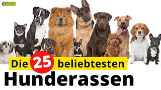 Top 25  Die beliebtesten Hunderassen [upl. by Jackie]