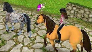 Race Track  Star Stable Horses Game Lets Play Honey Hearts Video [upl. by Yrram94]