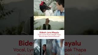 Bidesh Jane Mayalu by Deepak Thapa nepalisong love nepali music song [upl. by Ahsaela]