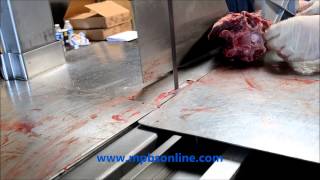 Commercial Meat Bandsaw Venison Large Bones Cut Demo 323 268 8514 [upl. by Correy]