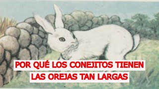 Cuento quotPor qué los conejitos tiene las orejas tan largasquot Un simpático relato [upl. by Babbie]