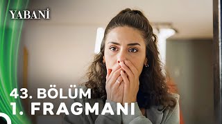 Yabani 43 Bölüm 1 Fragmanı [upl. by Aiuqram677]