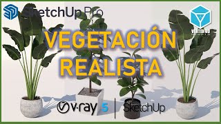 VEGETACIONHOJAS REALISTAS  Vray 5  Sketchup  10 de 30 [upl. by Laud492]