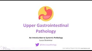 Upper Gastrointestinal GI Pathology  Introduction to Systemic Pathology [upl. by Nylloh]