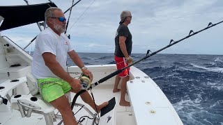 Heavy Tackle Giant Black Marlin fishing Cairns Great Barrier Reef Australia 2022 [upl. by Erdnua]