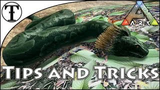 Fast Titanoboa Taming Guide  Ark  Survival Evolved Tips and Tricks [upl. by Elleirb442]