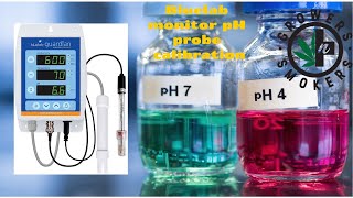 Bluelab Guardian Monitor Connect pH probe calibration and tips on storage [upl. by Mitinger]