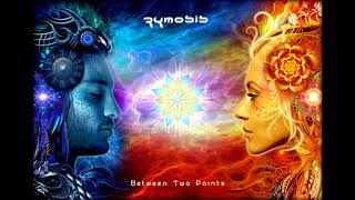 Zymosis  Between Two Points Album 2012 [upl. by Seavir689]