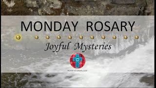 Monday Rosary • Joyful Mysteries of the Rosary 💙 January 29 2024 VIRTUAL ROSARY  MEDITATION [upl. by Nolte]