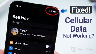 How to Fix Cellular Data Not Working on iPhone 10 Ways [upl. by Ithnan]