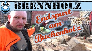 Brennholz Endspurt am Buchenholz [upl. by Youngman]