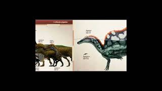 theropod dinosaur size comparison dinosaurs prehistoric mesozoic [upl. by Annaoy505]