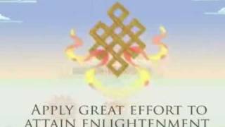 The Eight Auspicious Symbols of Buddhism  New Kadampa Tradition [upl. by Ail]