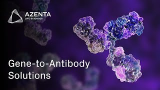 Recombinant Antibody Production for Enhanced Downstream Research [upl. by Oliana]