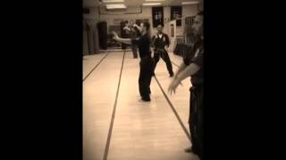 Northern Karate Schools Hakutsuruken [upl. by Olgnaed]