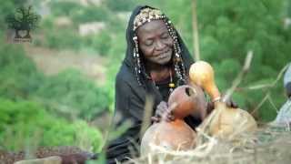 Musical Traditions in Mali  Now Money is More Important than Humanity [upl. by Adlecirg]