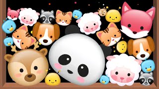 Merge Animals ASMR  Suika Game Pet Drop And Merge [upl. by Anaul]