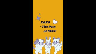 Happy National Pet Day from the pets of NECC [upl. by Venola]