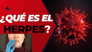 ¿Qué es el Herpes [upl. by Aidam]