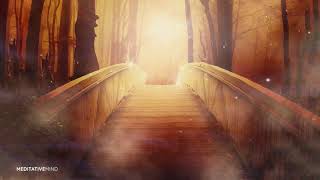 Soothing ANGELIC MUSIC for Meditation amp Healing 1Hr [upl. by Carlyn656]