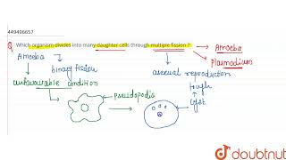 Which organism divides into many daughter cells through multiple fission   CLASS 10  HOW DO [upl. by Anikas737]