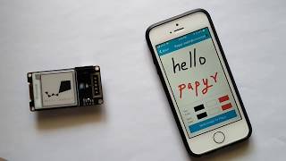 Papyr  Nordic nRF52840 based epaper display [upl. by Irak51]