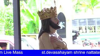 St Devasahayam Shrine Nattalam [upl. by Kitchen]