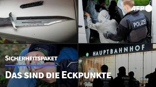 quotSicherheitspaketquot Das hat die quotAmpelquot beschlossen  AFP [upl. by Ohce]