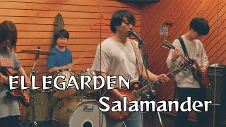 ELLEGARDEN  Salamander 밴드커버 엘르가든 살라만더 커버 [upl. by Gaddi]