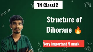 Structure of DiboranePBlock Elements1Very important questionTN Class12Chapter2Chemistry [upl. by Noremmac]