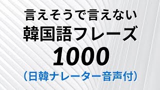 言えそうで言えない韓国語フレーズ1000（日韓ナレーター音声付） [upl. by Anerat]