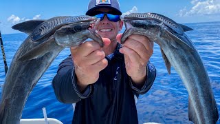 CRAZY Suction Cup Fish Catch Clean cook Remora Trash Fish Taste Test [upl. by Calie]