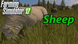 Farming Simulator 17 Tutorial  Sheep [upl. by Annij]