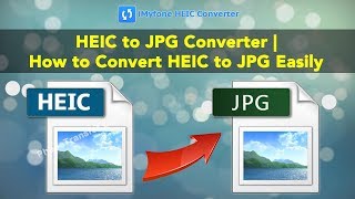 HEIC to JPG Converter  How to Convert HEIC to JPG Easily [upl. by Nessa]