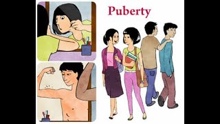 Grade 5 Lesson  PHYSICAL CHANGES DURING PUBERTY STAGE [upl. by Monsour]