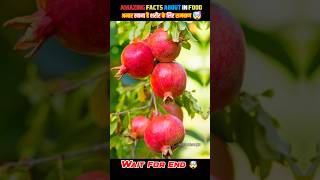 Top 10 Amazing about food Facts 🍎🫀 food fact in Hindi facts shorts shortsfeed food yoga fruit [upl. by Calia]