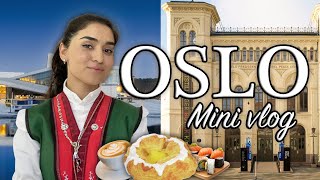 Summer OSLO vlog Food Sightseeing and Cost of living [upl. by Anitnegra]