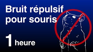 Bruit Répulsif pour Souris et Rats  Son Ultrasonore Inaudible [upl. by Shanan364]