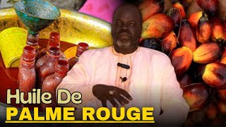 Bienfaits Huile De Palme Rouge  Diwe Tiir   Pr Ousmane Ndiaye  LansarrTV [upl. by Nichols]