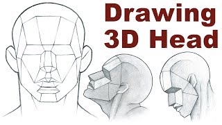 Portrait Drawing Basics 33  How To Draw a 3D Head [upl. by Renraw672]