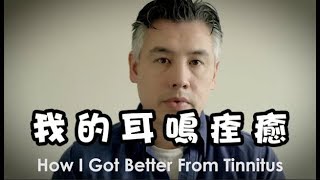 耳鳴的聲音完全消失了 耳鳴康復的治癒經驗談 How I Got Better From Tinnitus [upl. by Egin238]