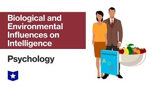 Biological and Environmental Influences on Intelligence  Psychology [upl. by Nomde663]