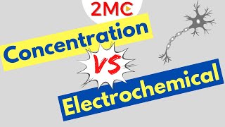 Concentration Gradients VS Electrochemical Gradients  With Examples [upl. by Gnel887]