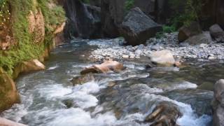 A Guide To Hiking The Zion Narrows [upl. by Falkner643]