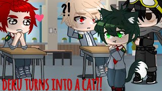 💖Deku turns into a cat💖 READ DISC PLS [upl. by Kathe]