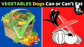 Vegetables Dogs CAN or CANT EAT🤔 [upl. by Alletsirhc852]