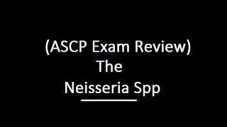 Neisseria spp ASCP Exam Review [upl. by Masao]