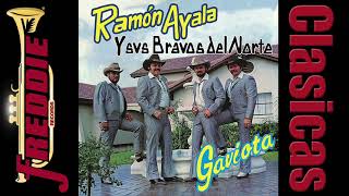 Ramon Ayala  Gaviota Disco Completo 1987 [upl. by Kelvin]