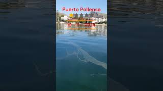 OILS FOAMS amp OTHER DISGUSTING THINGS Pollensa Bay 19 Nov 2024 puertopollensa travel majorca [upl. by Huberty]